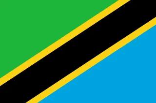 Tanzania Flag